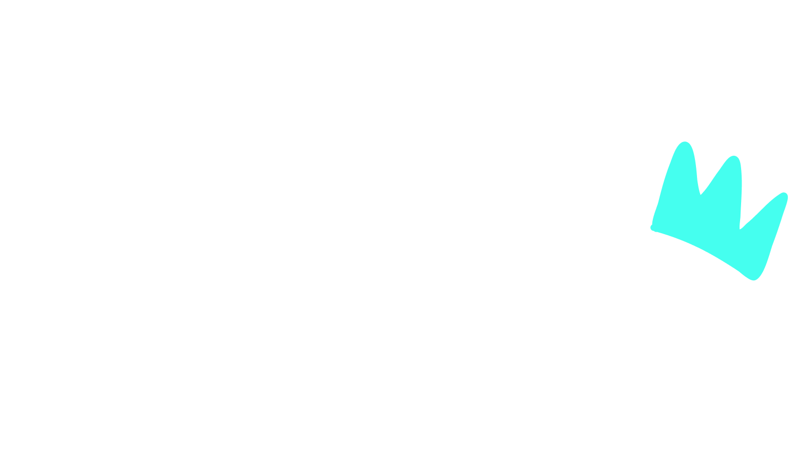 logo portfolio