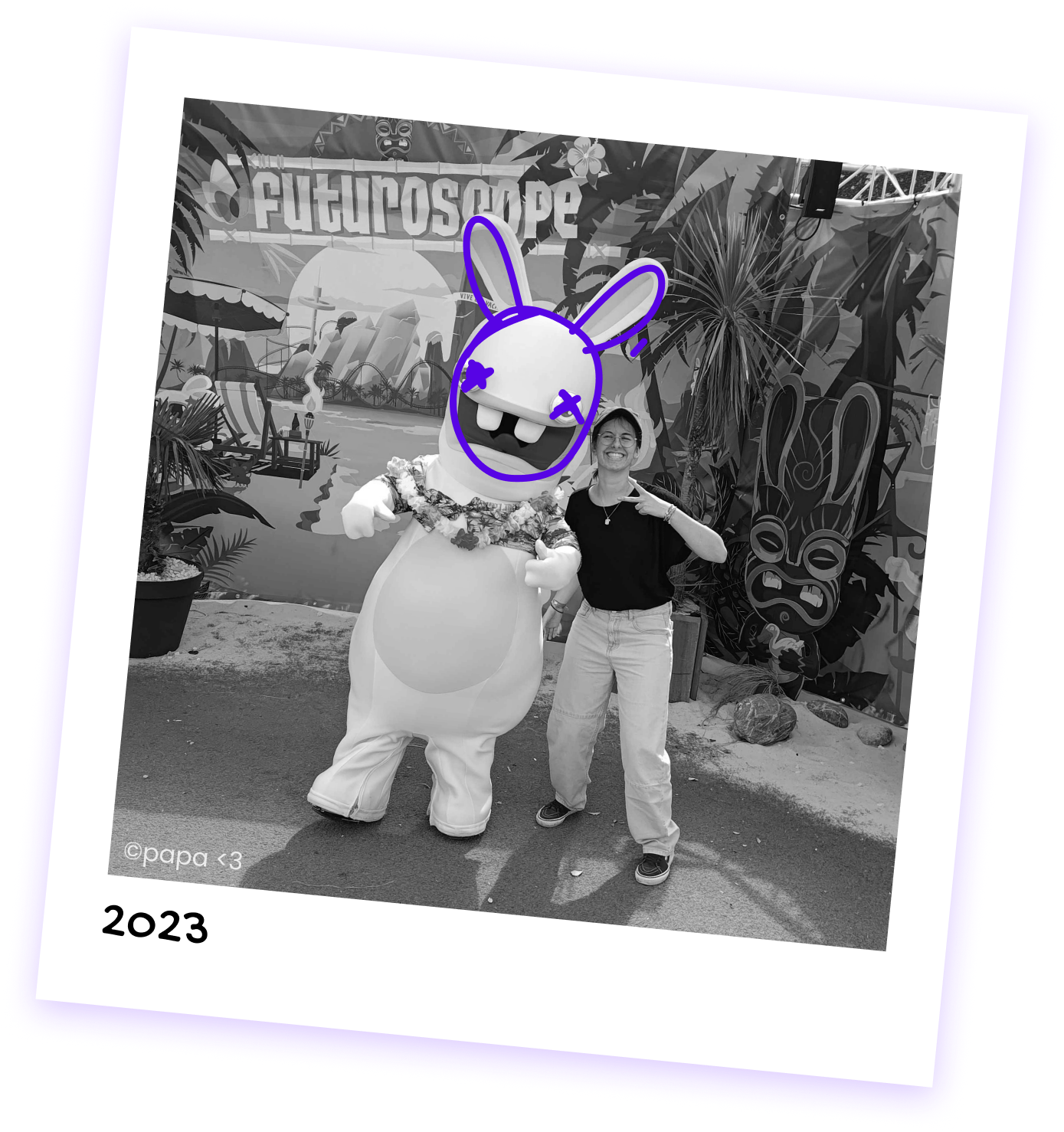 img polaroid lapin crétin